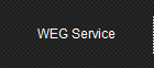 WEG Service